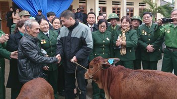 Hơi ấm ngày Đông