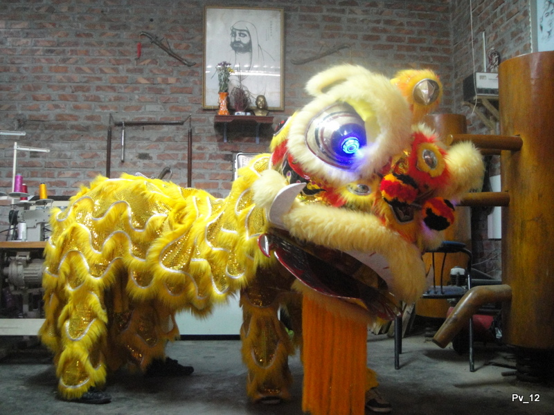 Ra mắt đội Lân Sư Rồng - Ảnh 02