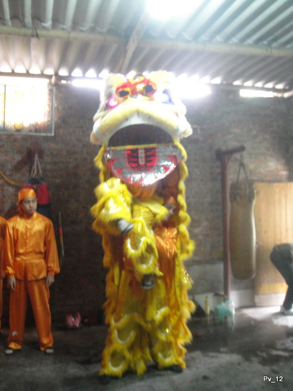 Ra mắt đội Lân Sư Rồng - Ảnh 03