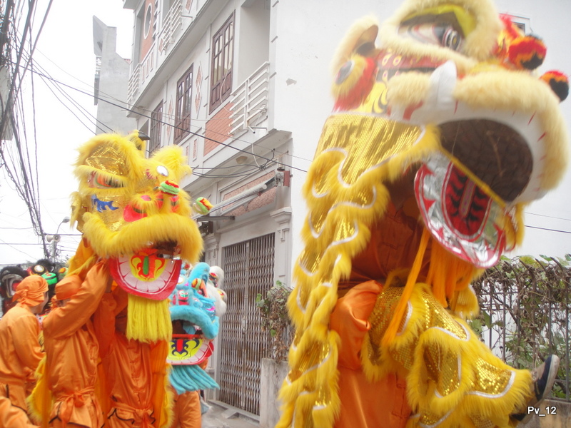 Ra mắt đội Lân Sư Rồng - Ảnh 82